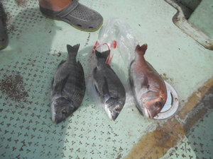 DSCN5642.JPG