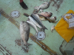 DSCN5682.JPG