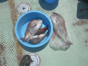DSCN5684.JPG