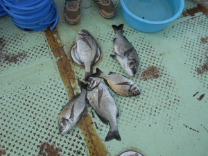 DSCN5692.JPG