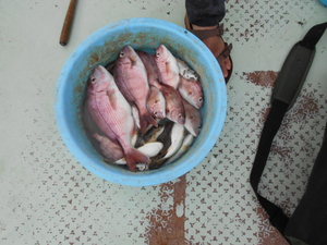 DSCN5706.JPG