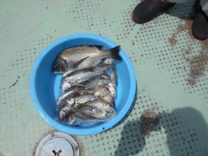 DSCN5707.JPG