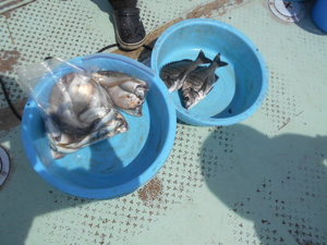 DSCN5708.JPG