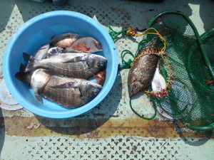 DSCN5743.JPG
