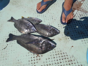 DSCN5770.JPG