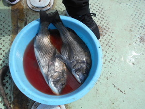 DSCN5794.JPG