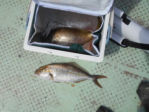 DSCN5797.JPG