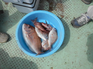 DSCN5803.JPG