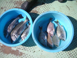 DSCN5826.JPG