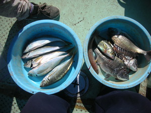 DSCN5833.JPG
