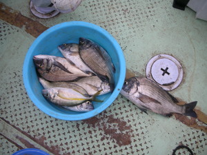 DSCN5840.JPG