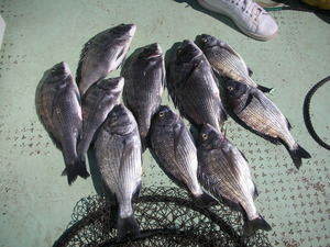 DSCN5863.JPG