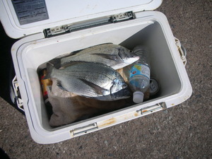 DSCN5865.JPG