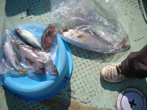 DSCN5907.JPG
