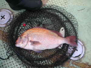 DSCN5955.JPG
