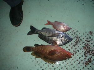 DSCN5961.JPG