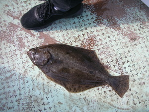 DSCN6006.JPG