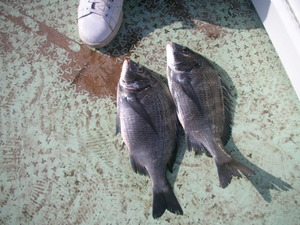 DSCN6005.JPG