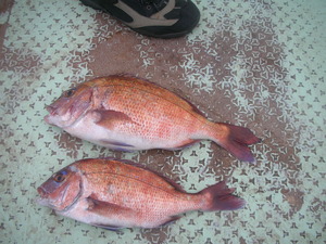 DSCN6010.JPG