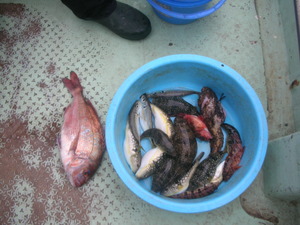 DSCN6015.JPG