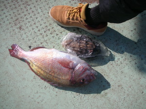 DSCN6048.JPG