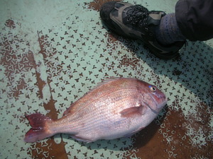 DSCN6053.JPG
