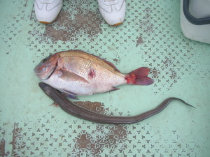 DSCN6067.JPG