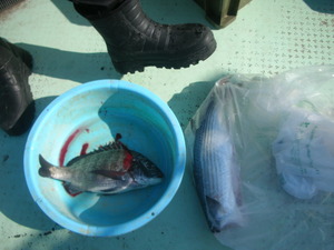 DSCN6160.JPG
