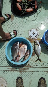 KIMG0126.JPG